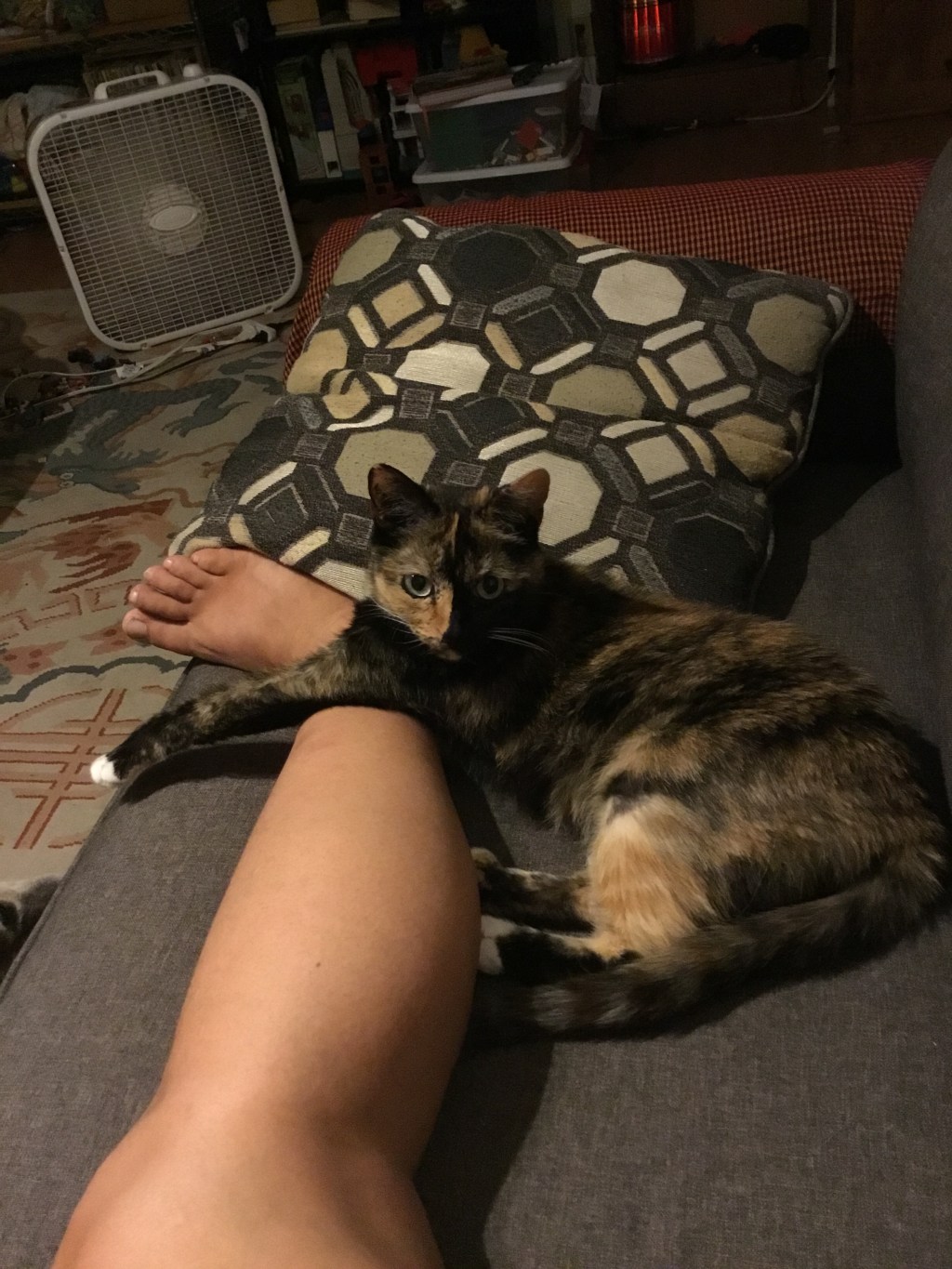 A Shared Moment of Deep&nbsp;Connection