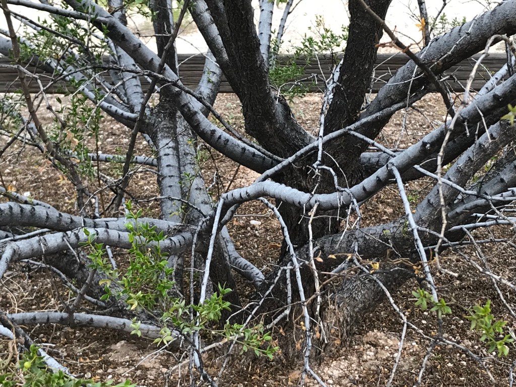 The Truth in&nbsp;Dreams