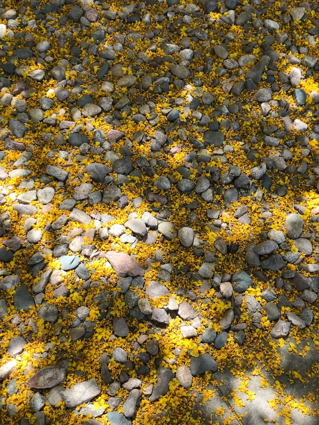 Long Distance Running