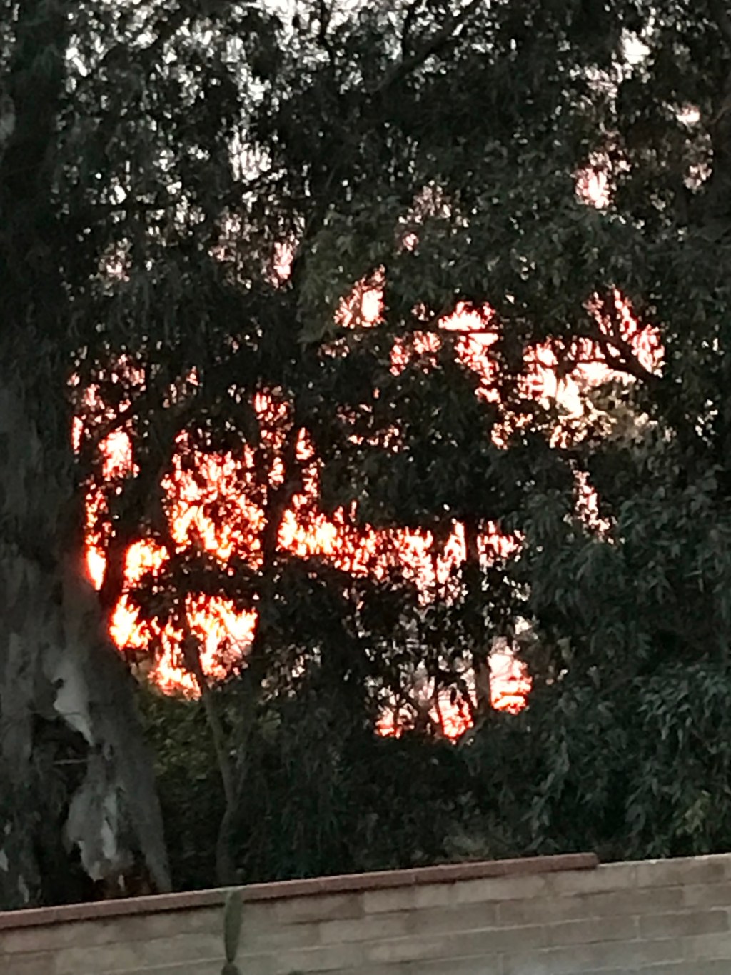 Life Story: Lies and Truths in&nbsp;America