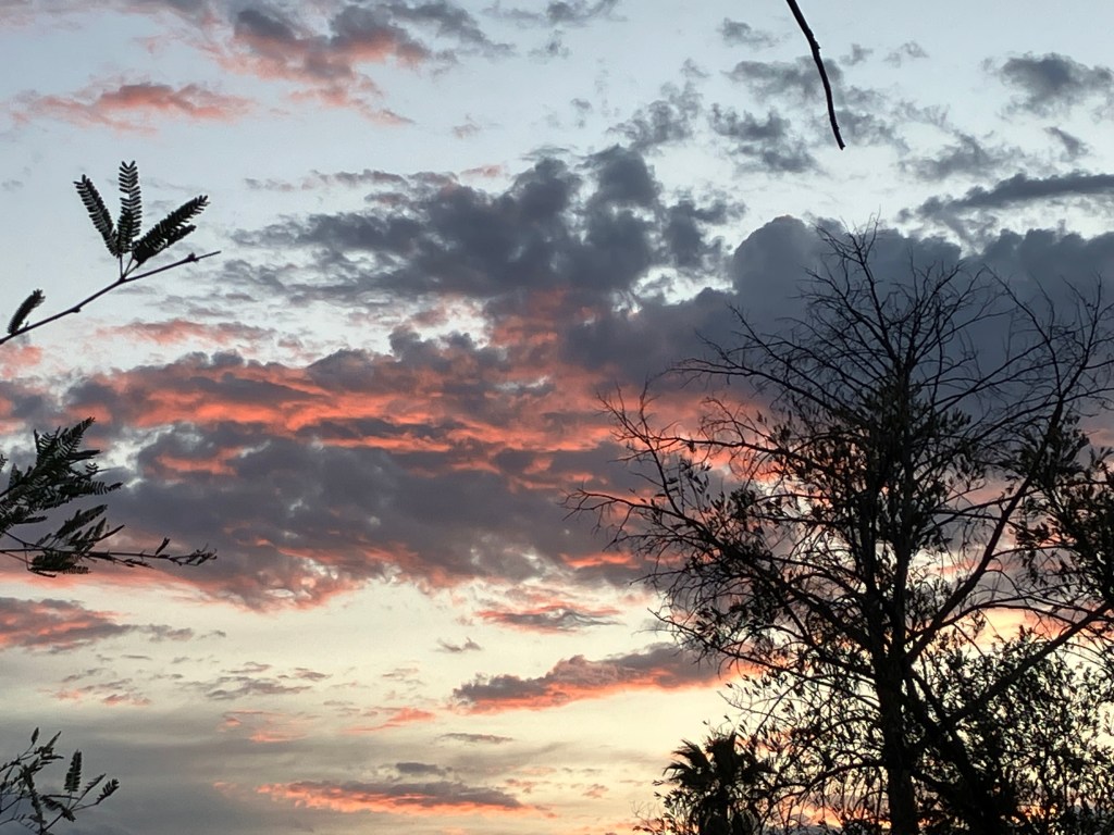 Proofing & Repairing