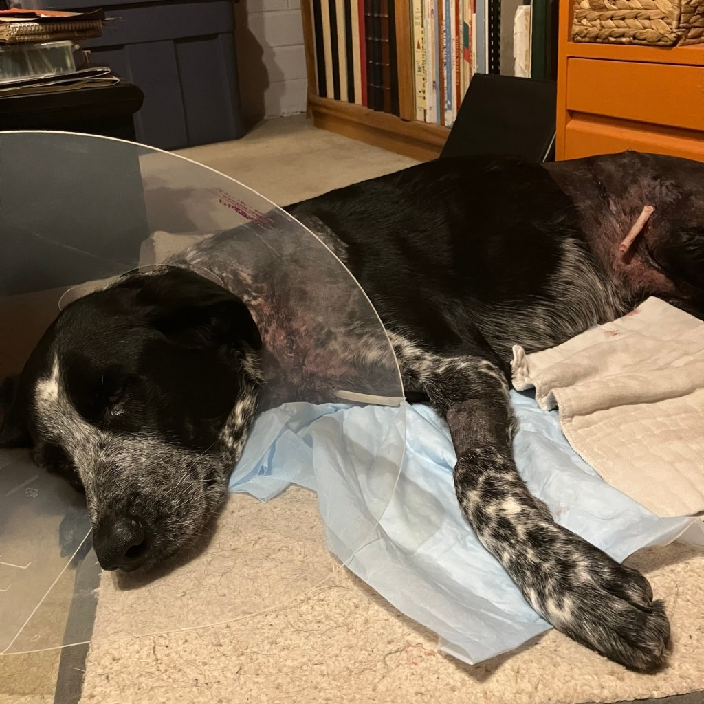 Recent Medical Encounters