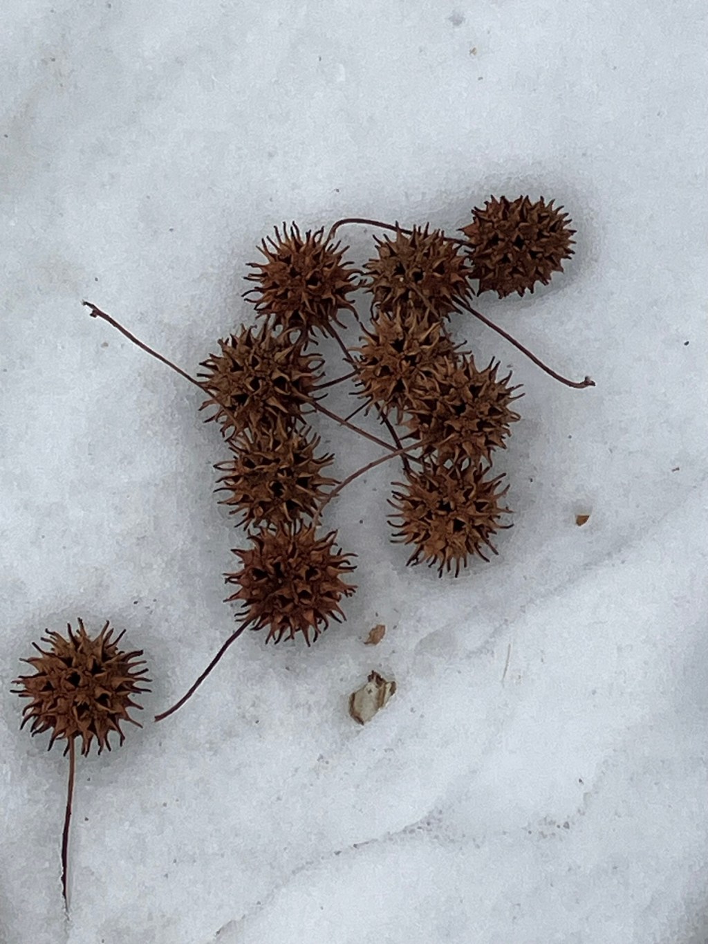 Another long stretch